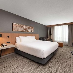 Evolution King Room